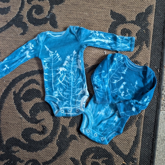 Carter's Blue Botanical Print Bodysuit Set - Picture 1 of 2